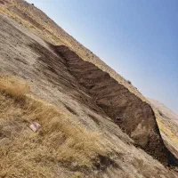 فروش انواع کود مرغی ، گاوی ، گوسفندی