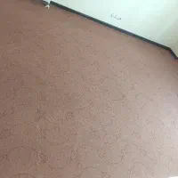 موکت در حد نو