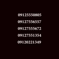 09125550805