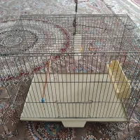 قفس پرنده
