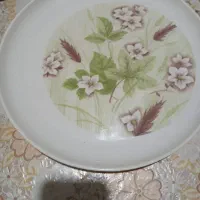 لوازم آشپزخانه|ظروف سرو و پذیرایی|جهرم, |دیوار