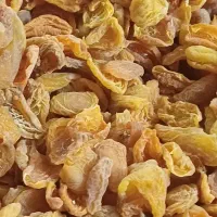 پر زردآلو تبریزی سوپر بکر آفتابی درجه یک|خوردنی و آشامیدنی|اصفهان, ملک‌شهر|دیوار