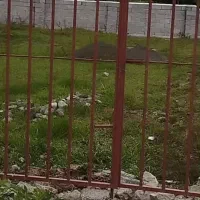 180متر زمین قابل ساخت در لیسار تالش