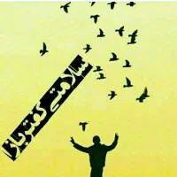 کبوتر/مرغ/بوقلمون