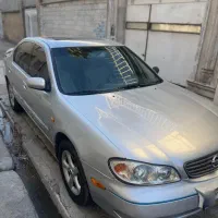 ماکسیما دندهای مدل 81