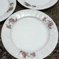 بشقاب گلسرخی و دیس و قندان و پارچ