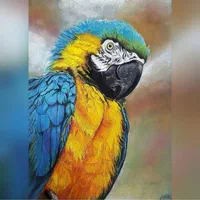 تابلوی نقاشی|تابلو، نقاشی، عکس|تهران, تهرانپارس غربی|دیوار