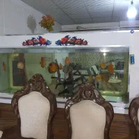 اکواریوم ۲ متری همراه با تعدادی دیسکس