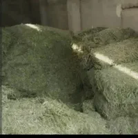 کاه یونجه6تن