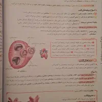 کتاب ماجرای بیست زیست شناسی ۱|کتاب و مجله آموزشی|لاهیجان, گلستان|دیوار