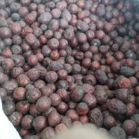 عناب بسیار درشت وپرگوشت شیرین