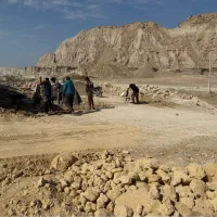 پیمانکاری و تضمین کاری