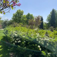 واحد سه خوابه تکمیل محتشم شخصی ساز