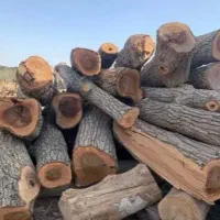 خرید و فروش چوب