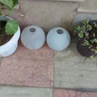 حباب لوستر|لوستر و چراغ آویز|شیراز, شهرک استقلال|دیوار