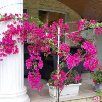 فروش واحد ۱۰۰ متری