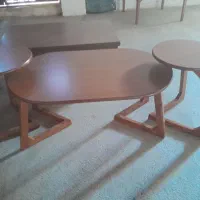 جلو مبلی زد