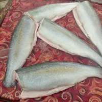 ماهی قزل الا|ماهی|خوش‌رودپی, |دیوار