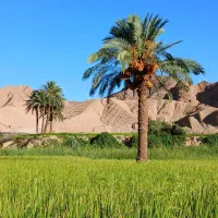 ۱باب تجاری ۱۲۰متری اجاره داده می شود