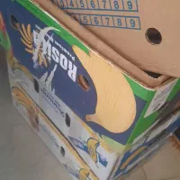 کارتون