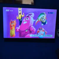 کیو الیدی هاردستون 55 اندروید کم کار هوشمند