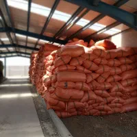 خرید کاه نقدی