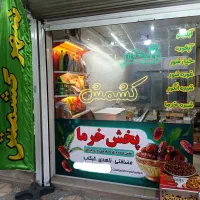 پخش خرمای تاکستان