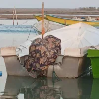 موتور 85|قایق و سایر وسایل نقلیه|میناب, |دیوار