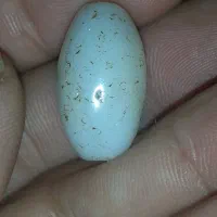 مهره سلیمانی قدیمی سمبه دار