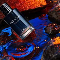 عطر ساواج دیور اورجینال لوزی سوئیس گرید H و T|آرایشی، بهداشتی، درمانی|گرگان, |دیوار