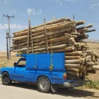 خریدانواع تیرچوب چنار   وضایعات خشک