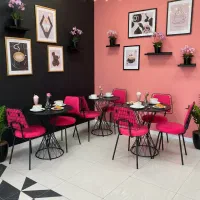 صندلی ویلسون و میز برتویا|میز و صندلی غذاخوری|رشت, ساغری سازان|دیوار