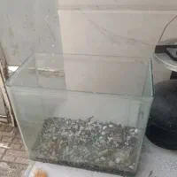 اکواریوم شیشه خم