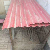 فروش قفس جوجه