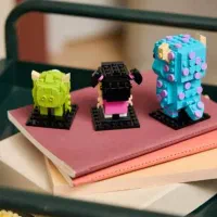 راننده خانم