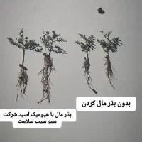 بهترین کودبرای افزایش محصول برای کشت پاییزه تضمینی|خدمات باغبانی و درختکاری|اهواز, بهارستان|دیوار