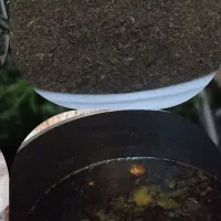 قرمه سبزی خشک