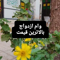 وام ازدواج نیاز.مندم  ب،الا ترین قیمت