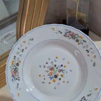 ظروف آرکوپال لومینارک اصل