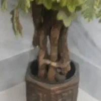 گل مصنوعی|گل مصنوعی|قوچان, |دیوار