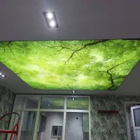 اجرای کناف و انواع سقف هاودیوارهای کاذب|خدمات پیشه و مهارت|عسلویه, |دیوار