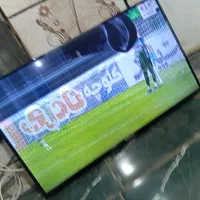 تلویزیون|تلویزیون و پروژکتور|زابل, |دیوار