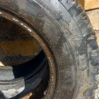 لاستیک|قطعات یدکی و لوازم جانبی|سلطانیه, |دیوار