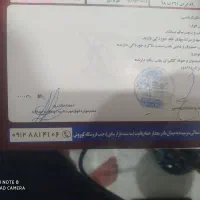 سمند LX ساده، مدل ۱۳۸۷|خودرو سواری و وانت|تاکستان, |دیوار