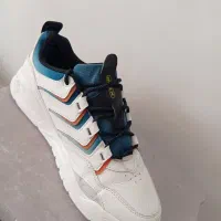 کتونی  اورجینال در چندین سایز