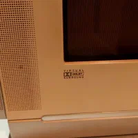 تلویزیون سامسونگ ۲۹ اینچ کره ای|تلویزیون و پروژکتور|رشت, کاکتوس|دیوار