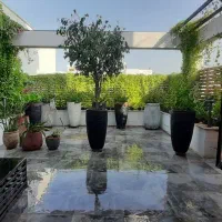 جویای نگهداری گل وگیاه