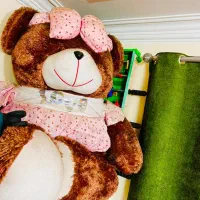 خرس بزرگ ولنتاینی