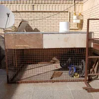 قفس پرنده یاسگ|لوازم جانبی حیوانات|رفسنجان, |دیوار