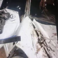 پژو پارس 402 چپی|خودرو سواری و وانت|دلگان, |دیوار